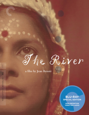 The River            Book Cover