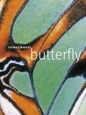 Butterfly 0756633400 Book Cover