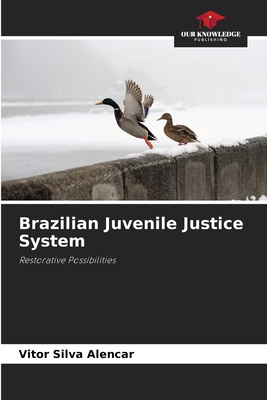Brazilian Juvenile Justice System 6209152066 Book Cover