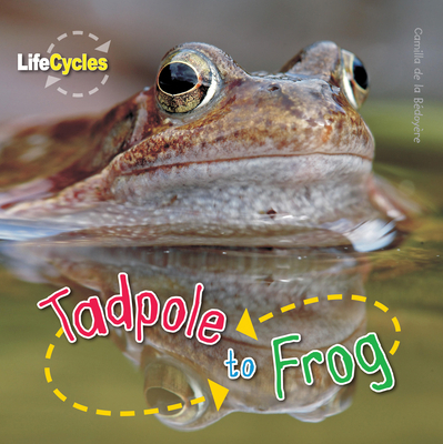 Tadpole to Frog 1682970302 Book Cover