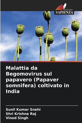 Malattia da Begomovirus sul papavero (Papaver s... [Italian] 6209184782 Book Cover
