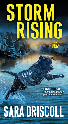 Storm Rising 0786041528 Book Cover