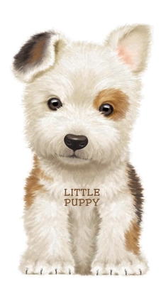Little Puppy B00A2PPOTU Book Cover