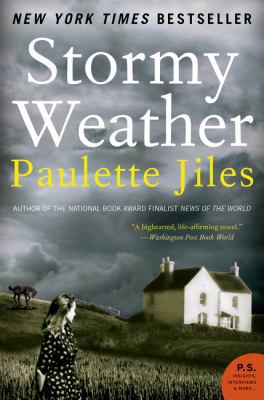 Stormy Weather 0060537337 Book Cover