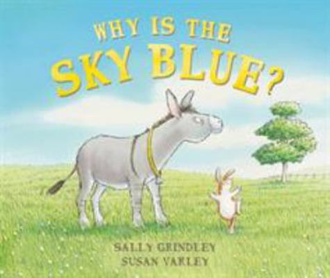 Why Is the Sky Blue? 184270589X Book Cover