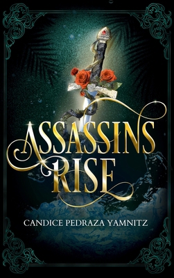 Assassins Rise B0FR1GRRZF Book Cover