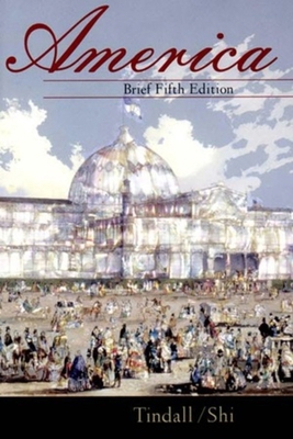 America : A Narrative History 0393974421 Book Cover