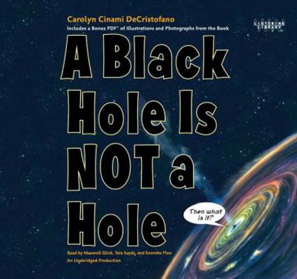 A Black Hole Is Not a Hole 0804121818 Book Cover