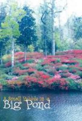A Small Pebble in a Big Pond 141343312X Book Cover