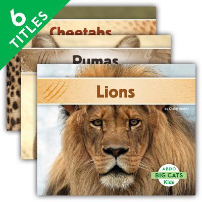 Big Cats (Set) 1629700002 Book Cover