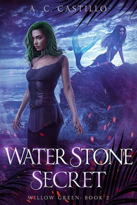 Water Stone Secret            Book Cover