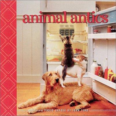 Animal Antics: A Photo Expose 0740727001 Book Cover