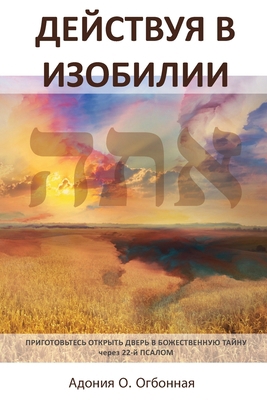Russian Edition - Operating in Abundance [Russian] 1964959020 Book Cover