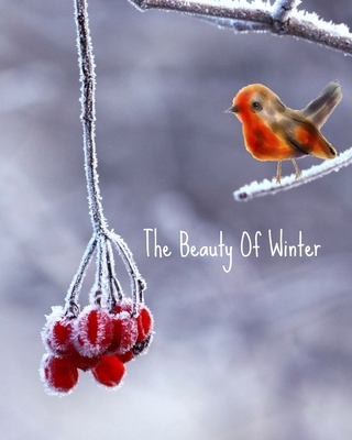 The Beauty of Winter: Mind Mapper 1711259802 Book Cover