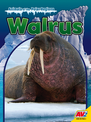 Walrus B0GXXBDJ98 Book Cover