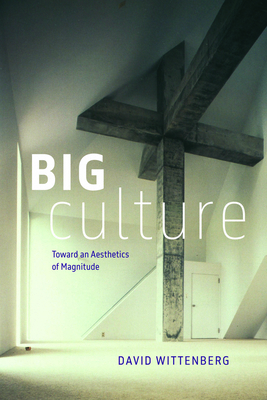 Big Culture: Toward an Aesthetics of Magnitude 0226842924 Book Cover