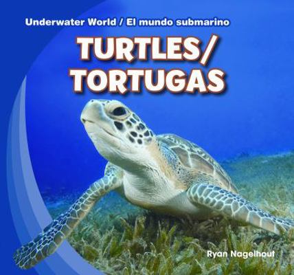 Turtles / Tortugas 1433987864 Book Cover