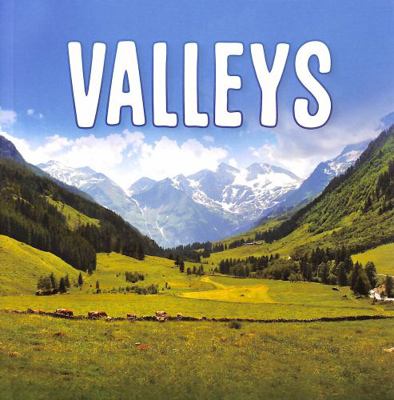 Valleys (Earth's Landforms) 1398202819 Book Cover
