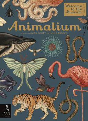 Animalium            Book Cover