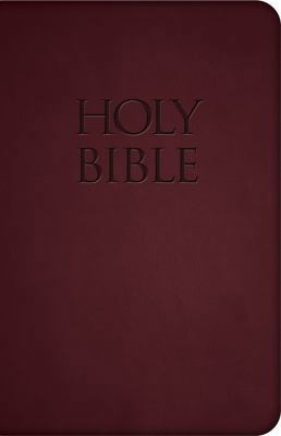 Holy Bible-Nab 1618900617 Book Cover