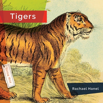 Tigers 1682770885 Book Cover