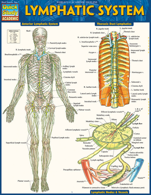 Lymphatic System 1423233182 Book Cover