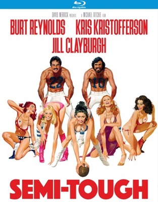 Semi-Tough            Book Cover