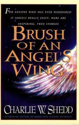 Brush of an Angel's Wing [Large Print] 0802726860 Book Cover