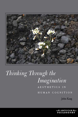 Thinking Through the Imagination: Aesthetics in... 1531501842 Book Cover