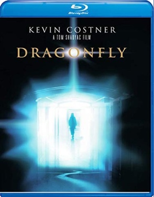 Dragonfly            Book Cover