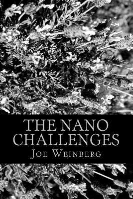 The Nano Challenges: Four novels written on a dare 1537539485 Book Cover