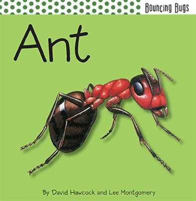 Ant (Bouncing Bugs) 1608871878 Book Cover