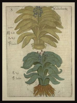 Sino-Iranica: China and Ancient Iran: Commoditi... 1784532010 Book Cover