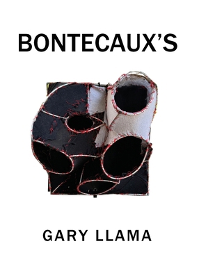 Bontecaux's B0DP3JJ78Y Book Cover