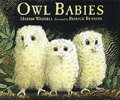 Owl Babies (Little Favourite) 0744592704 Book Cover