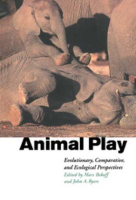 Animal Play 0521583837 Book Cover