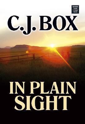 In Plain Sight [Large Print] 1585478407 Book Cover