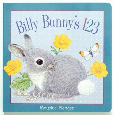 Pledger Board Billy Bunny 123 157145408X Book Cover