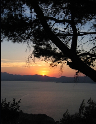 Digital Signature Algorithm: Learn by Examples ... B0DHCKTN9T Book Cover