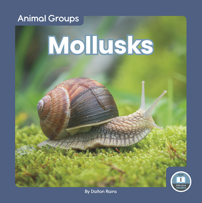 Mollusks 1646198115 Book Cover