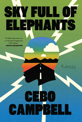 Sky Full of Elephants [Large Print] 1420520903 Book Cover