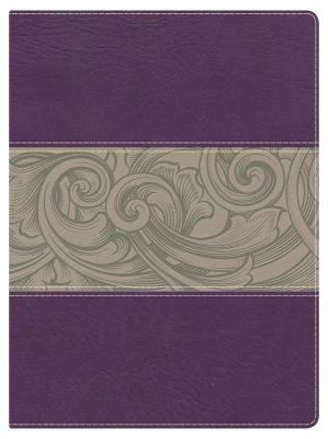 Holman Study Bible-NKJV 1433605104 Book Cover