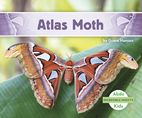 Atlas Moth 164494555X Book Cover