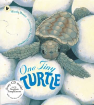 One Tiny Turtle 1406343552 Book Cover