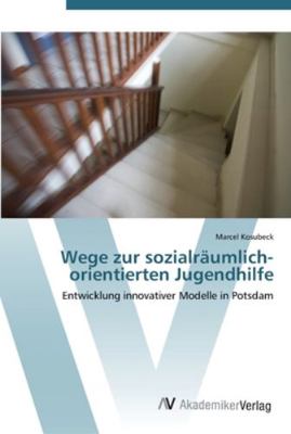 Wege zur sozialräumlich-orientierten Jugendhilfe [German] 3639440676 Book Cover