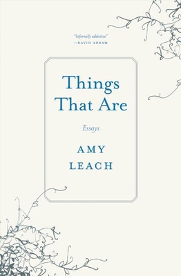 Things That Are: Essays 1571313516 Book Cover