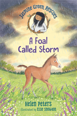 Jasmine Green Rescues: A Foal Called Storm 1536222712 Book Cover