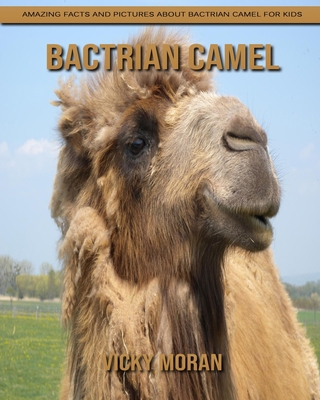 Paperback Bactrian camel: Amazing Facts and Pictures about Bactrian camel for Kids [Large Print] Book