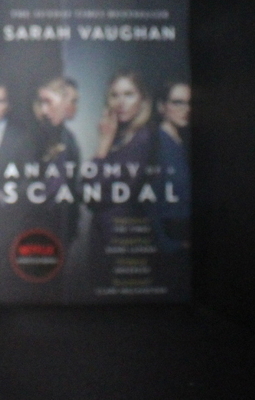 Anatomy of a Scandal 1398516244 Book Cover