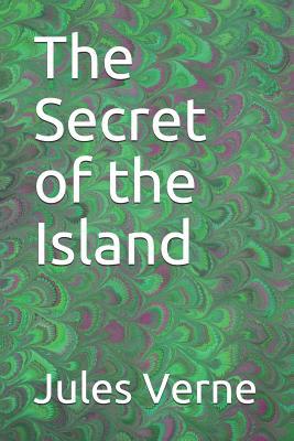 The Secret of the Island 1071216058 Book Cover